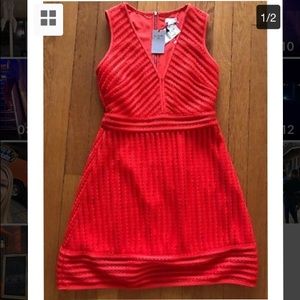 NEW J Crew Womens Coral Sundress Cocktail Dress